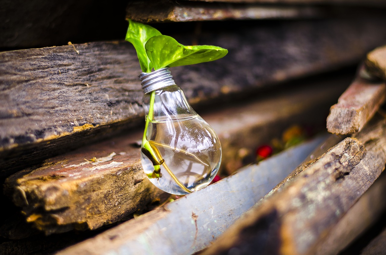 Obyvatelé kraje díky recyklaci vysloužilých spotřebičů pomohli přírodě 