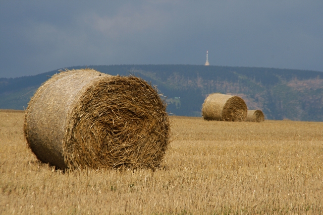 Podkrkonošský okruh