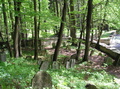 Dobruška - hřbitov v Podbřezí