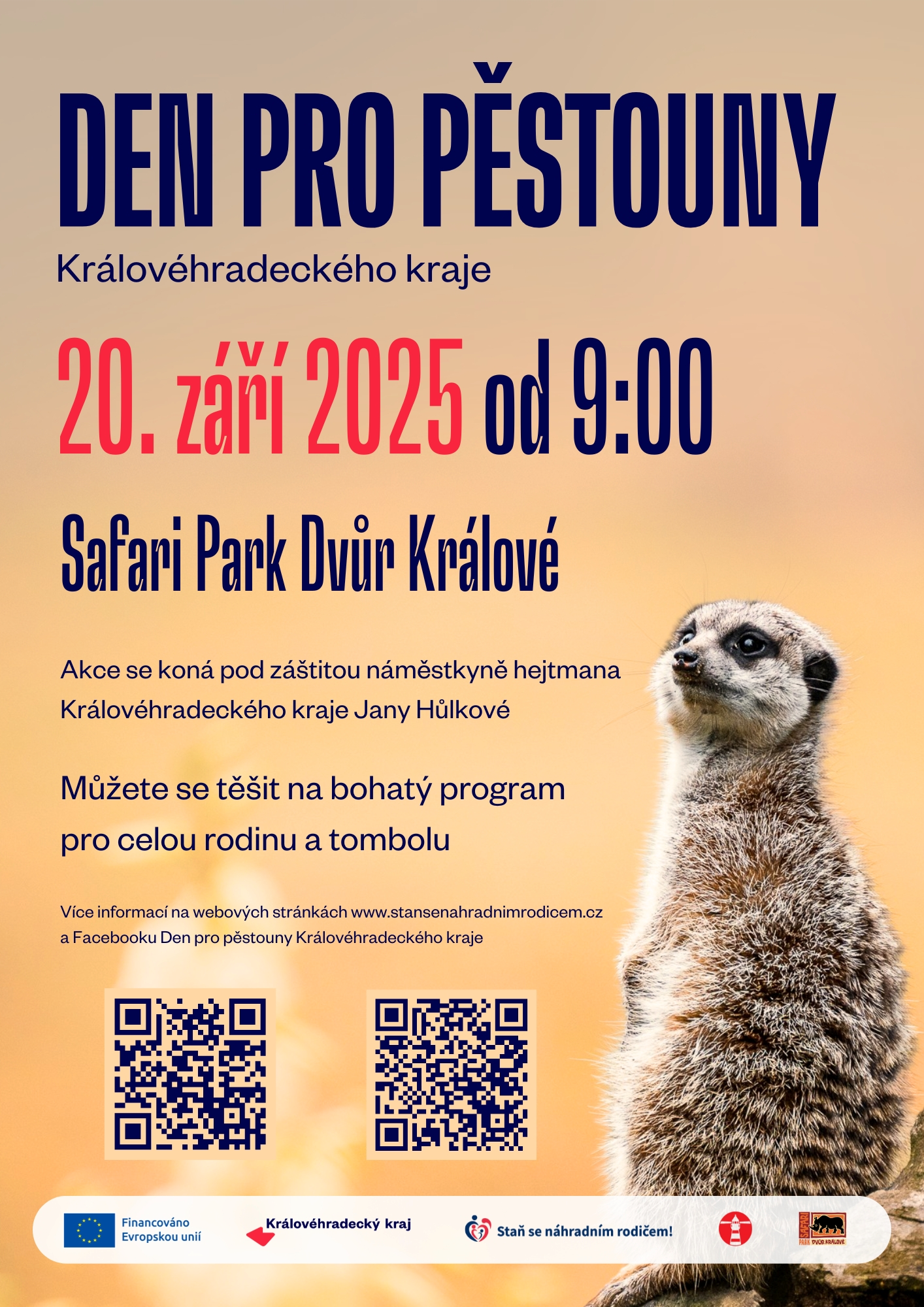 Den pro pěstouny plakát