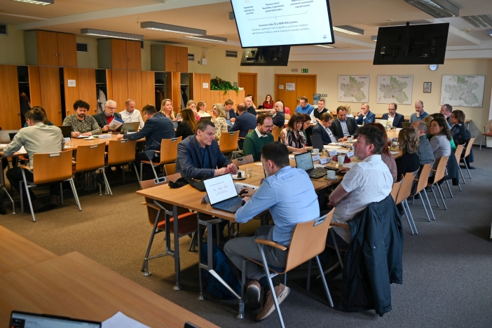 regionální stálá konference 