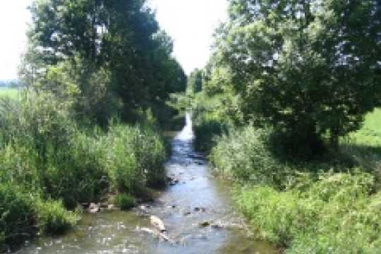 Soustava Natura 2000 má v kraji nový přírůstek