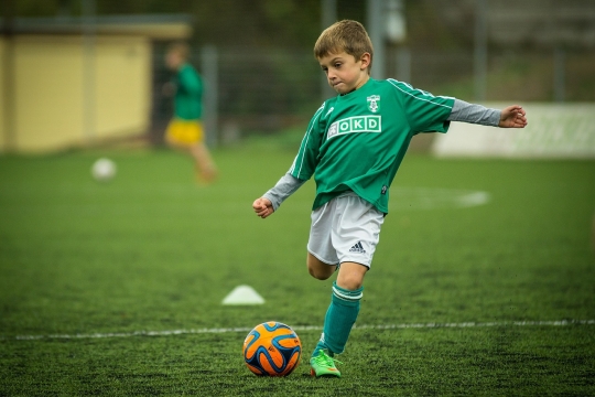 Pořadatelé sportovních akcí mohou žádat o udělení trvalé záštity 