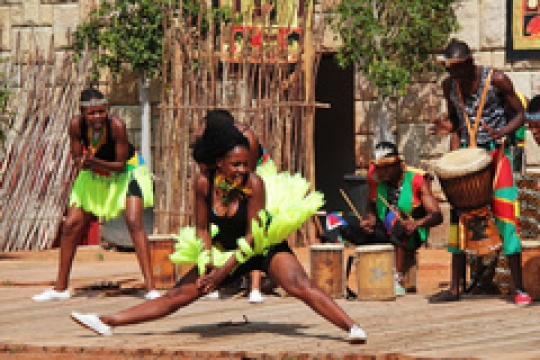 Zoo Dvůr Králové se od soboty rozezní rytmy Afrického festivalu