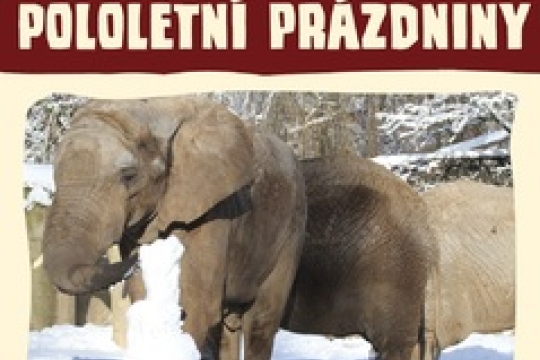 Odměna za vysvědčení čeká na školáky v Zoo Dvůr Králové