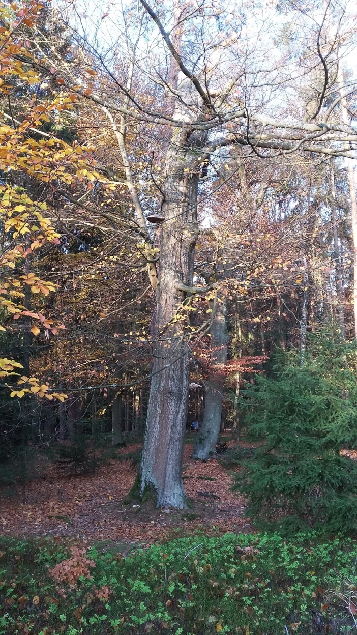 U Cisařské studánky 3