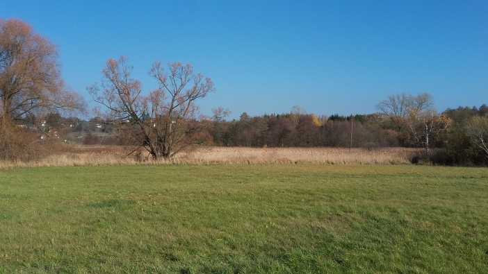 Roudnička a Datlík 1