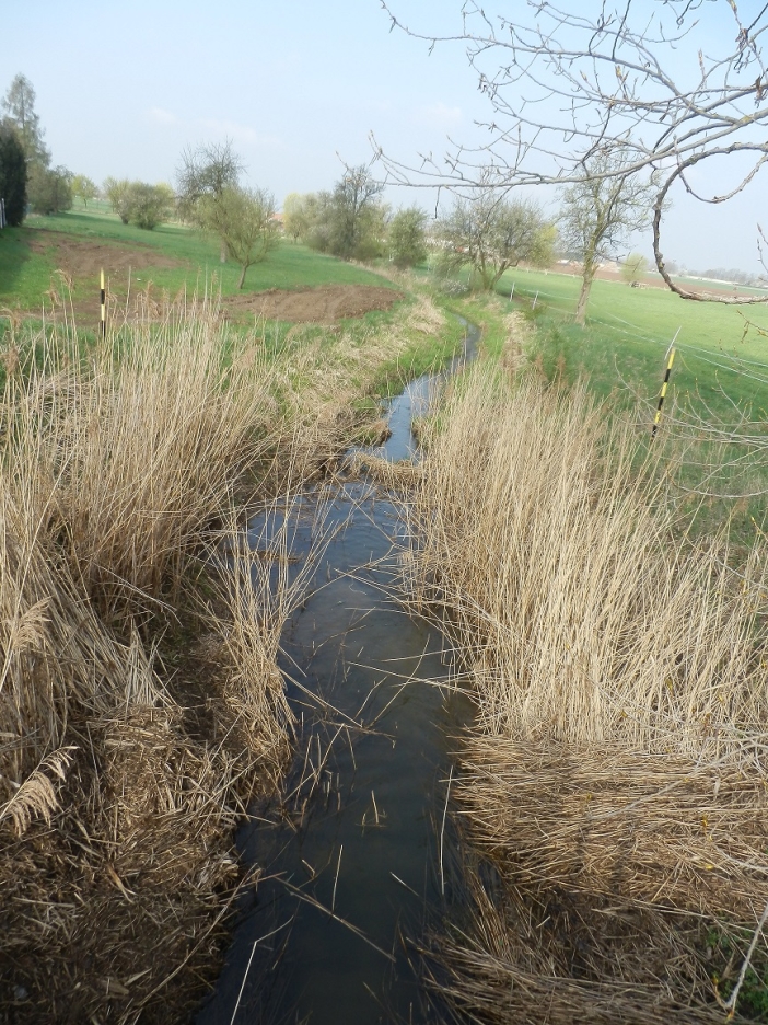 Piletický a Librantický potok 1