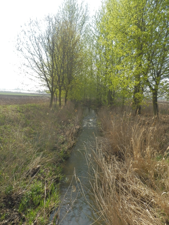 Piletický a Librantický potok 2