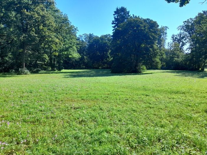 Bělohradská bažantnice leží v krajině, kde se pole a lesy pozvolna zvedají v pahorkatinu.