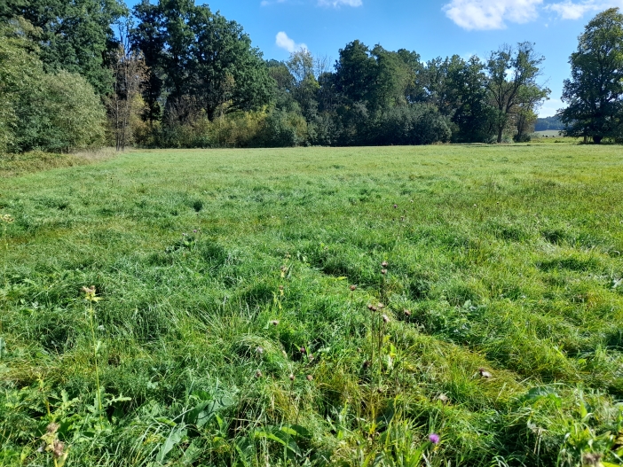 Voda je důležitou součástí příběhu Bělohradské bažantnice.