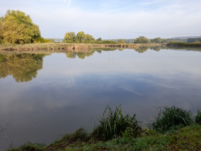 Miletínská bažantnice 2