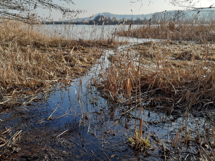 Ostruženské rybníky 2