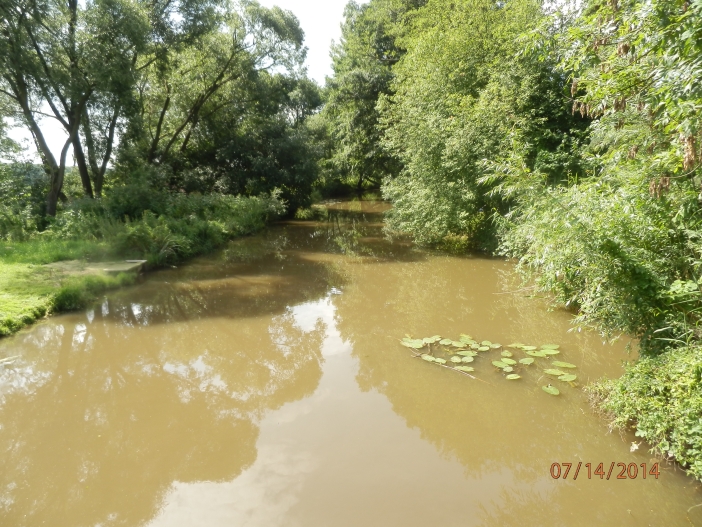 Javorka Cidlina Sběř