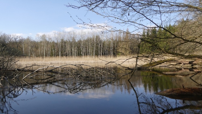 Rybník Strašidlo 1