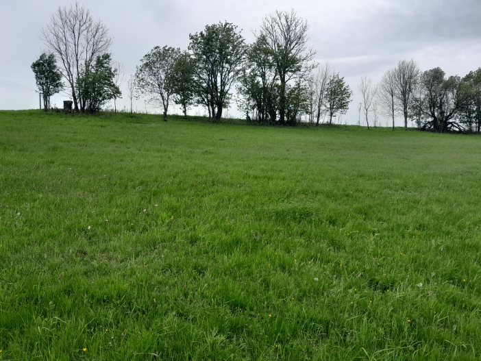 Kačerov 1