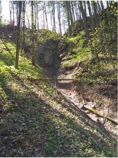 Ve Slatinské stráni1