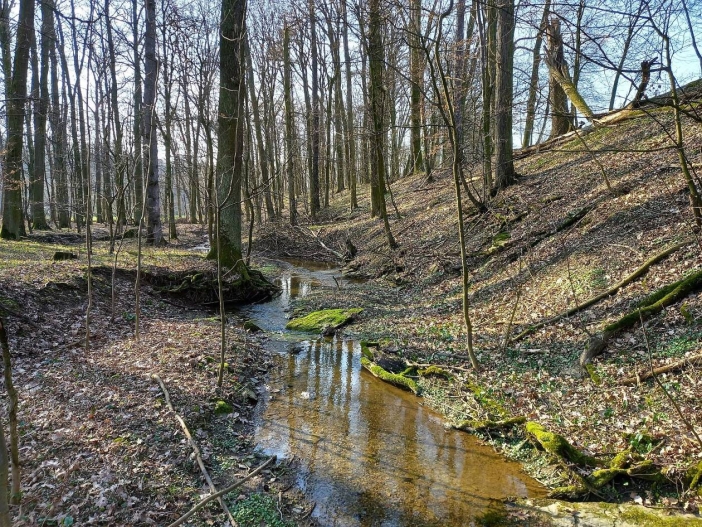 Skalecký háj1