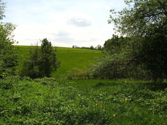 Kačerov 2