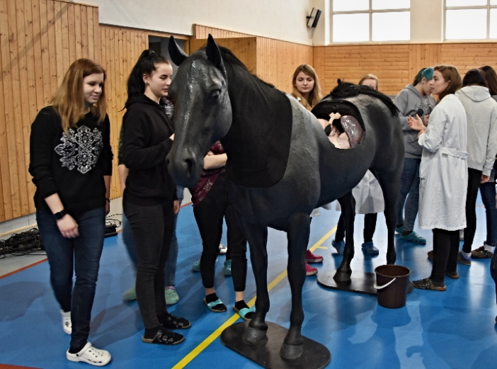 Jako živý! Milionový kůň pomáhá budoucím veterinářům