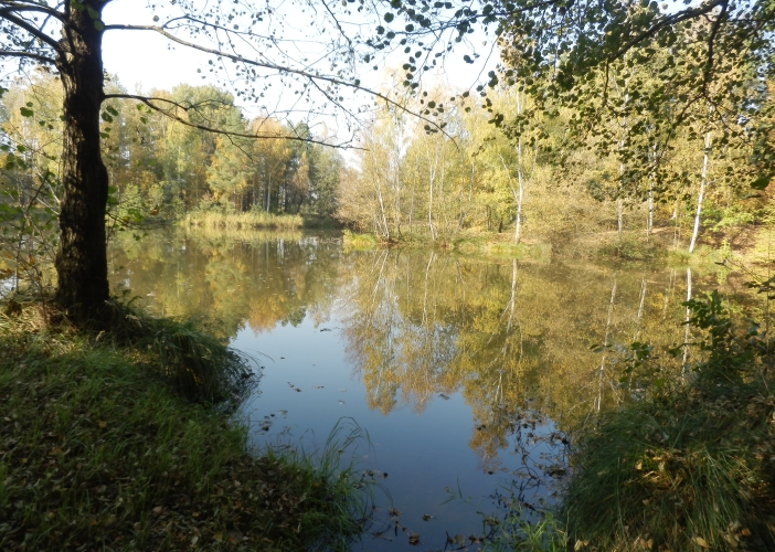 Hlavní vodní plocha přírodní památky Bělečský písník.