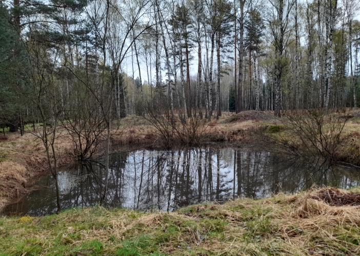 Běleč střelnice - tůň