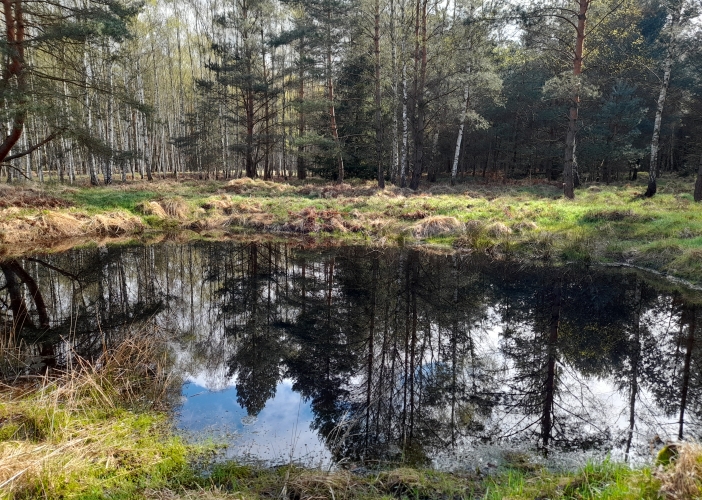 Běleč střelnice