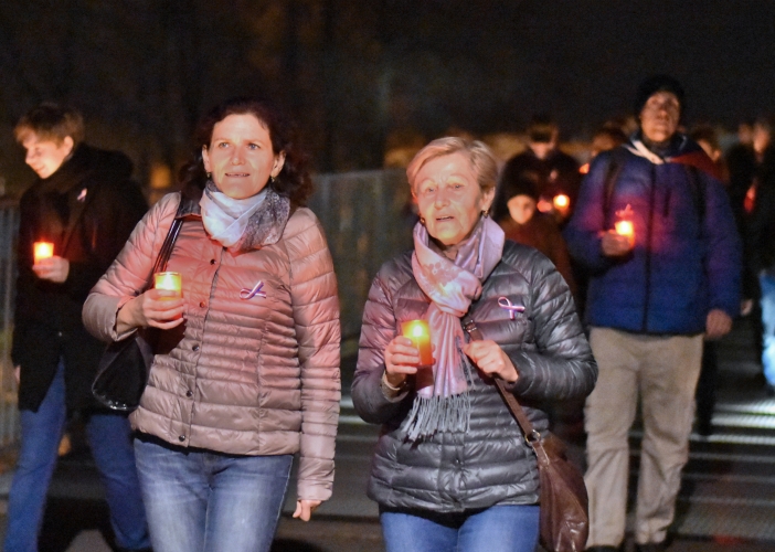 Před krajským úřadem vyvrcholily oslavy 30. výročí sametové revoluce