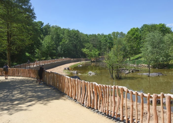 Safari Park Dvůr Králové otevřel novou expozici, turisté tak mají hrochy téměř na dosah ruky