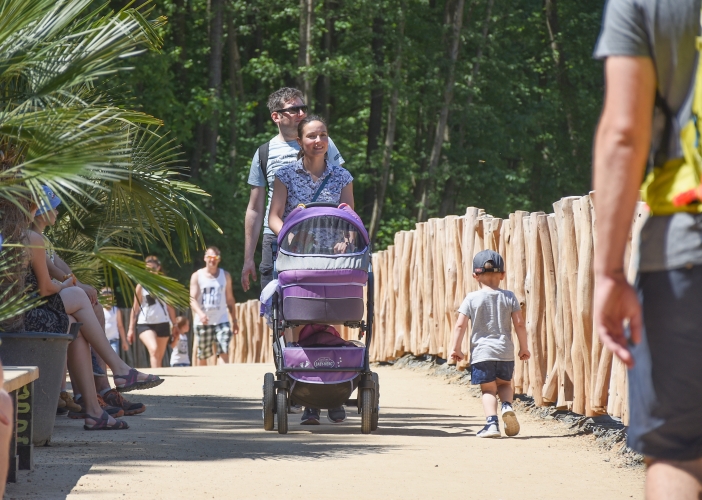 Safari Park Dvůr Králové otevřel novou expozici, turisté tak mají hrochy téměř na dosah ruky