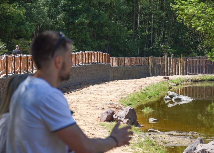 Safari Park Dvůr Králové otevřel novou expozici, turisté tak mají hrochy téměř na dosah ruky